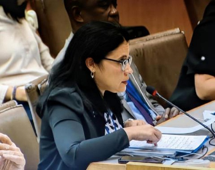 Daylenis Moreno ONU Cubaminrex