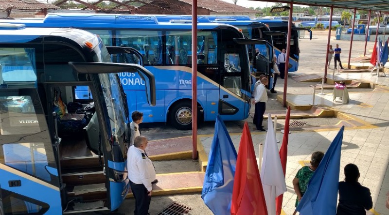 omnibus nuevos 02