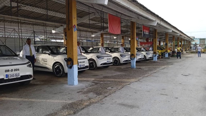 taxis hemod 03