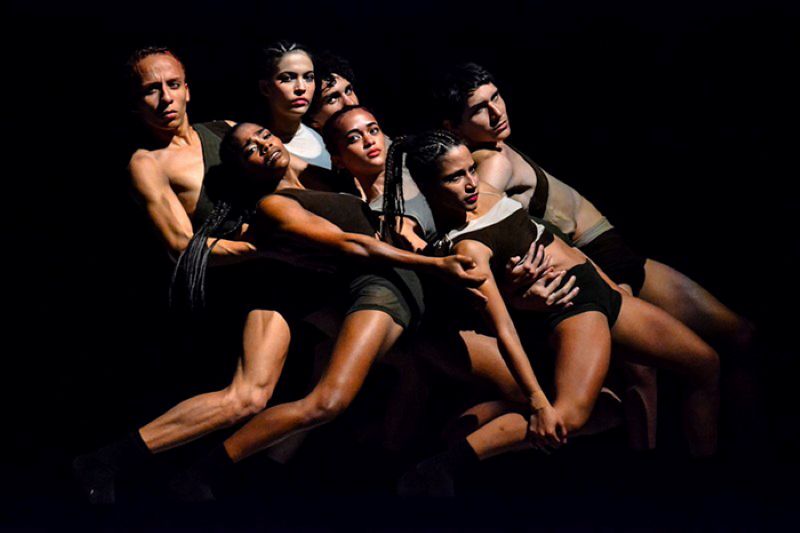 codanza1