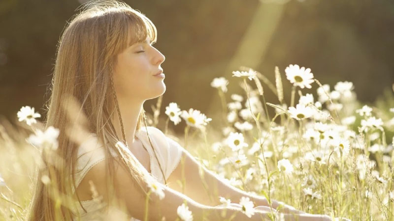 paz interior 01