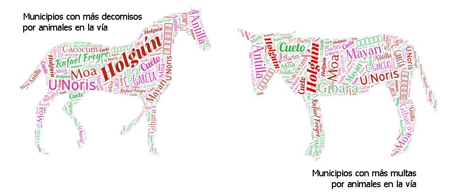 Infografías multas decomisos