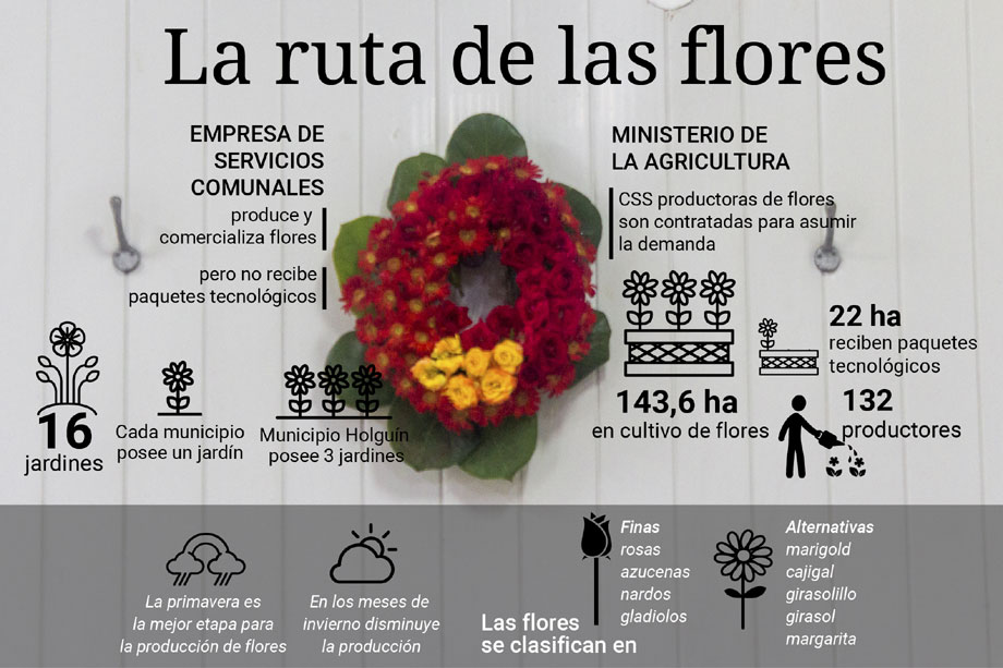 infografia flores