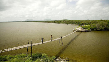 timeline puente gibara