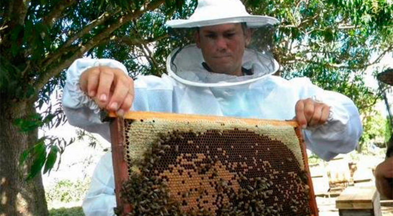 apicultor holguin f vargas