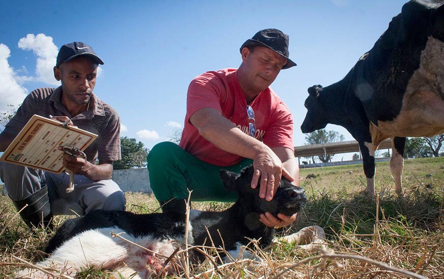 veterinario f trabajadores