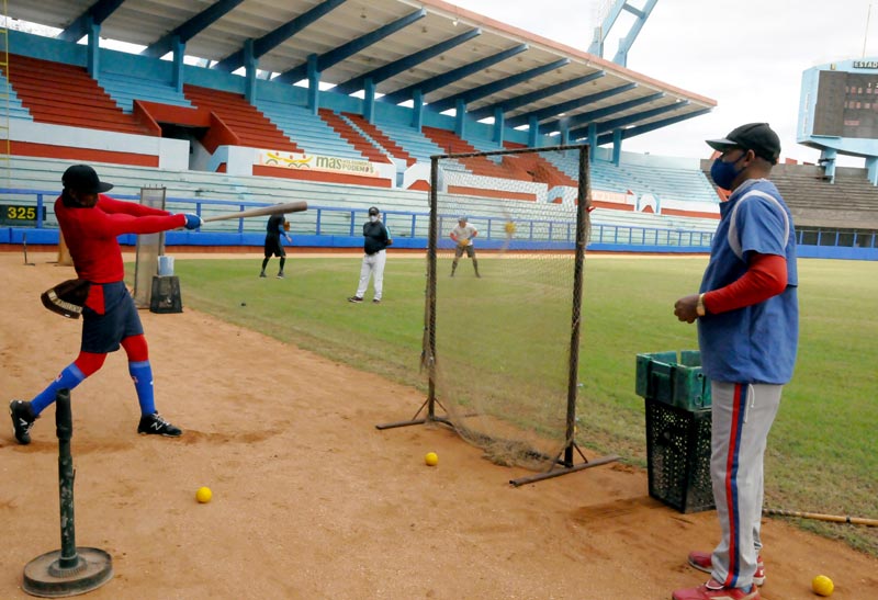 cachorros entrenamiento 2