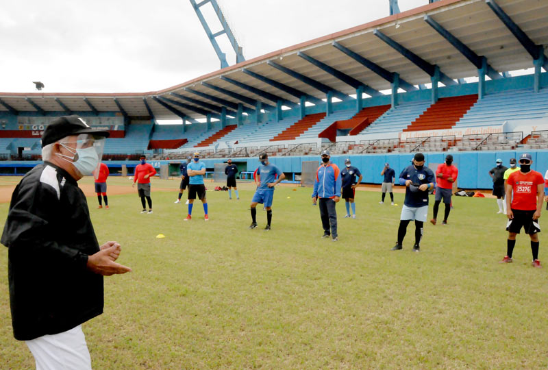 cachorros entrenamientos 1