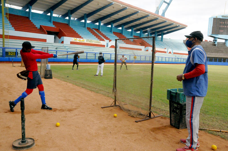 cachorros pre nomina 2