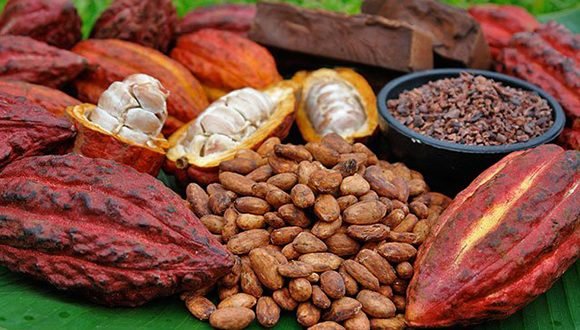 cacao