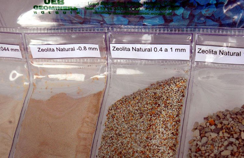 zeolita hg 3 1