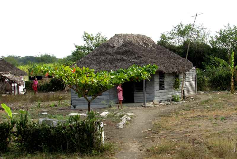 Limpio chiquito ernesto comunidad ATH 1