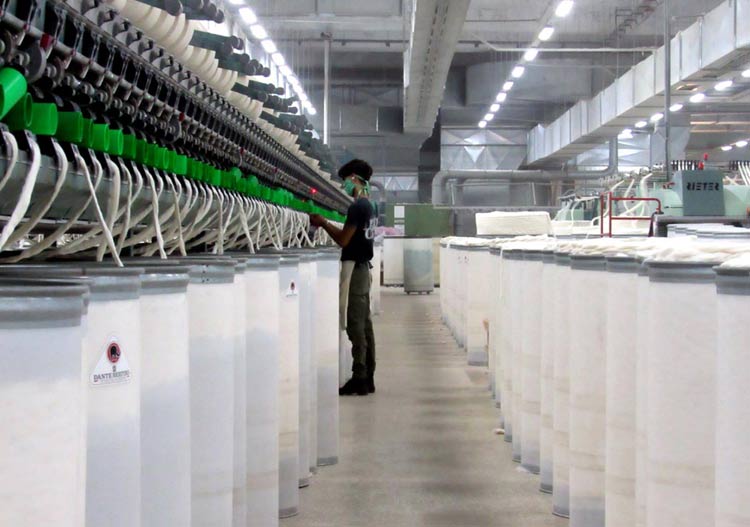 hilanderia gibara H1