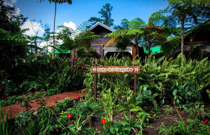 1223 holguin areas protegidas2