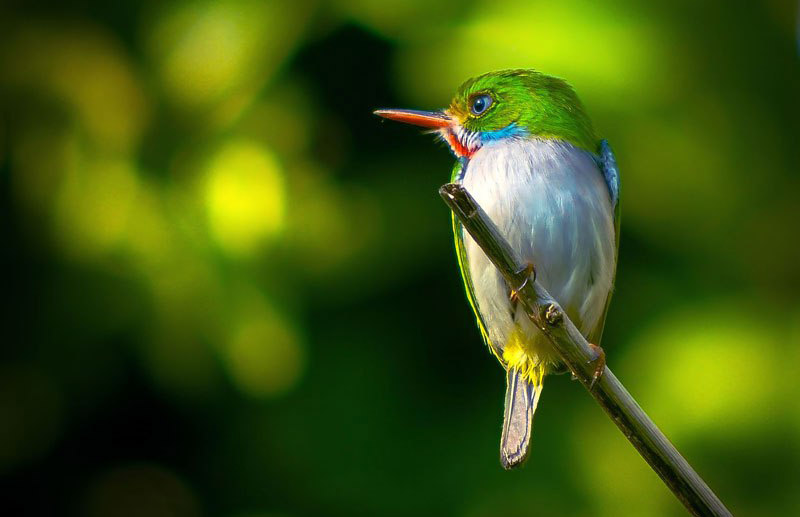 0227 naturaleza sostenible holguin ecoagenda2