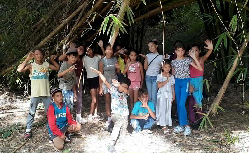 botánico 8