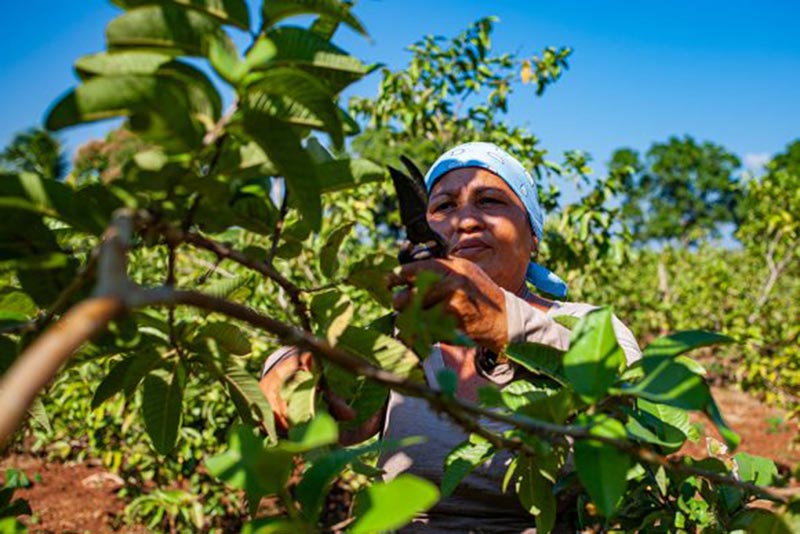 mujer rural 51