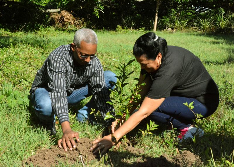 mujer 06 Plantar arbol Secretario y la FMC